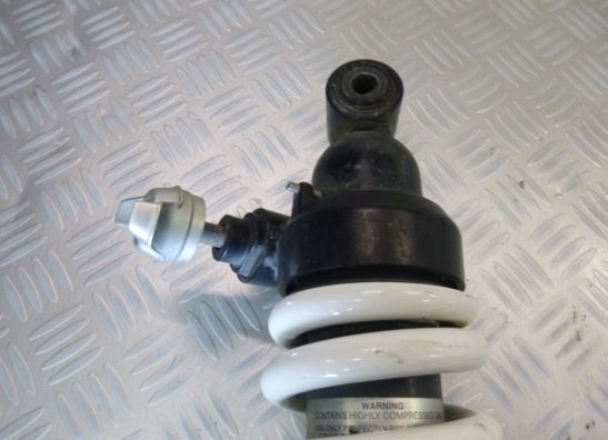 Achterschokbreker BMW R Nine T