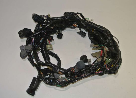 Wire Harness Kawasaki Z 1000 Sx