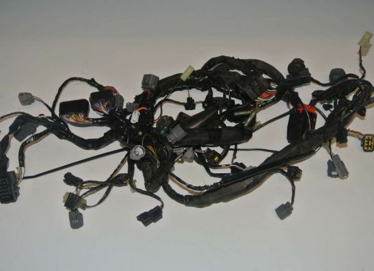 Wire Harness Kawasaki Z 750