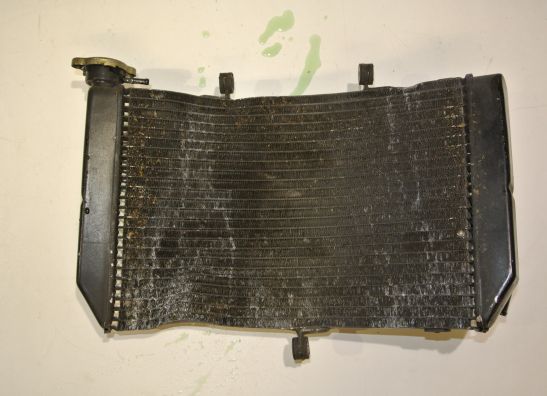 Radiator Honda CBR 600 F