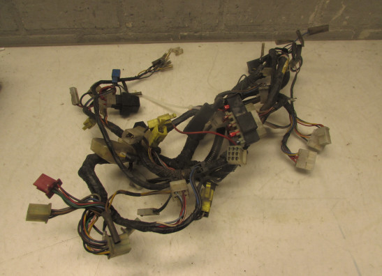 Wire Harness Yamaha V max