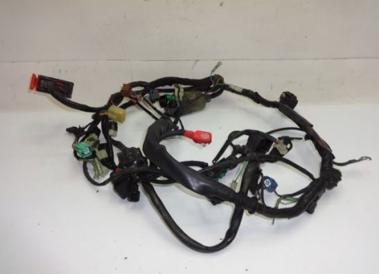 Kabelboom Honda CBF 500