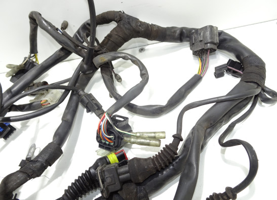 Kabelbaum Ducati monster 600