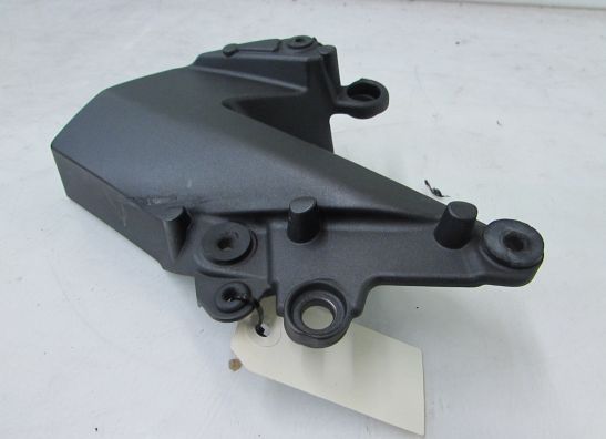 Tank Kawasaki ZX 6 R