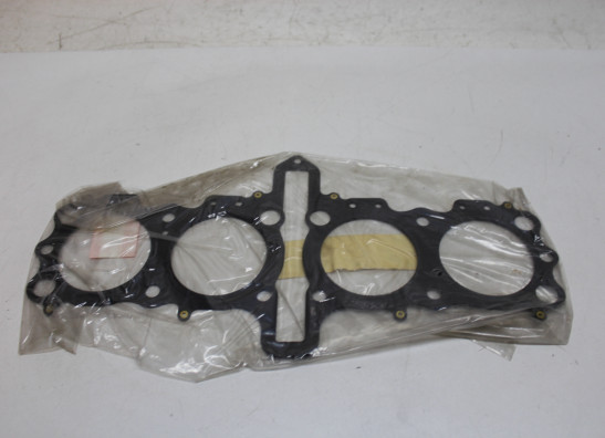 Dichtung Suzuki GSX R 1100