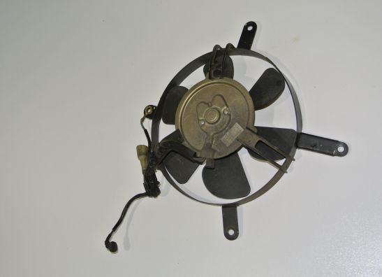 Fan Honda CBR 1100 XX