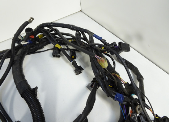 Wire Harness Triumph Sprint ST 1050