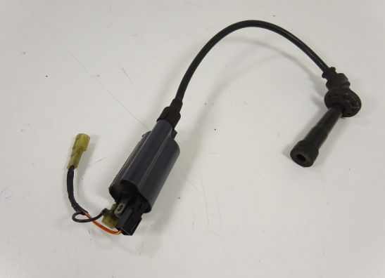 Bobine Suzuki TL 1000