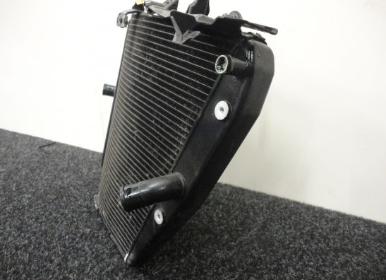 Radiator Honda CBR Fireblade