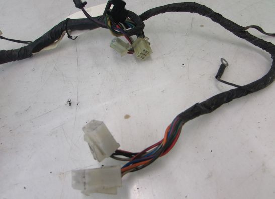 Kabelboom voor Yamaha FJ 1200