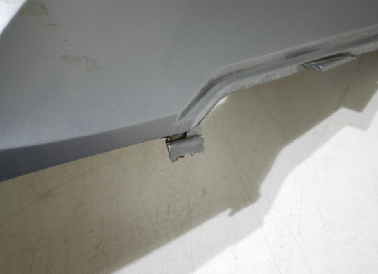 Tankschutz BMW R 1200 GS