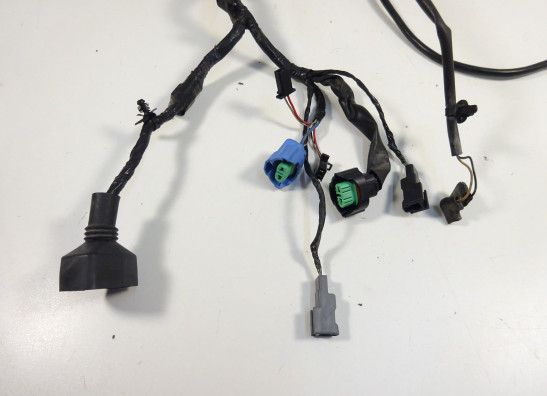 Wire Harness Kawasaki ER 6