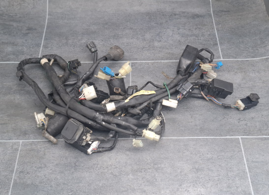 Wire Harness Yamaha YZF R1