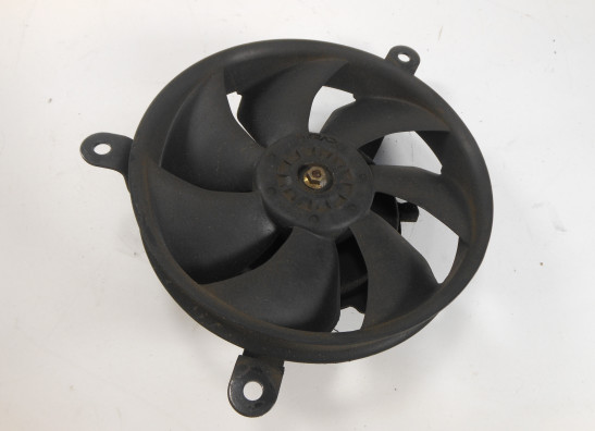 Fan Honda CBR Fireblade