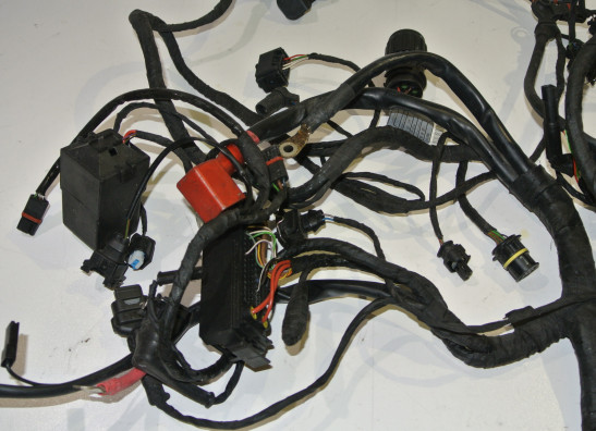 Kabelbaum BMW R 1200 R