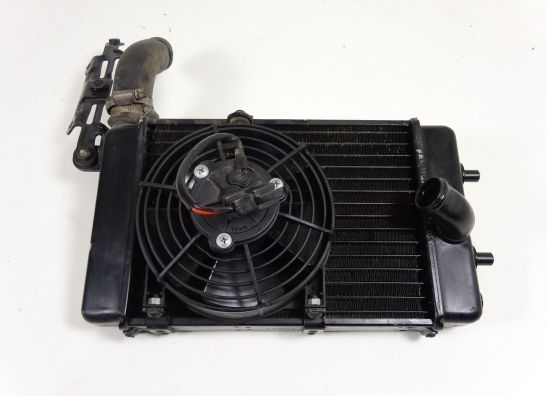 Radiateur Aprilia RST 1000 Futura 2001-2004