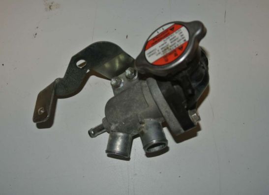 Thermostat Suzuki GSX F 650