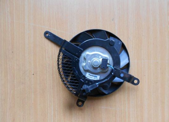 Fan Suzuki GSX R 750