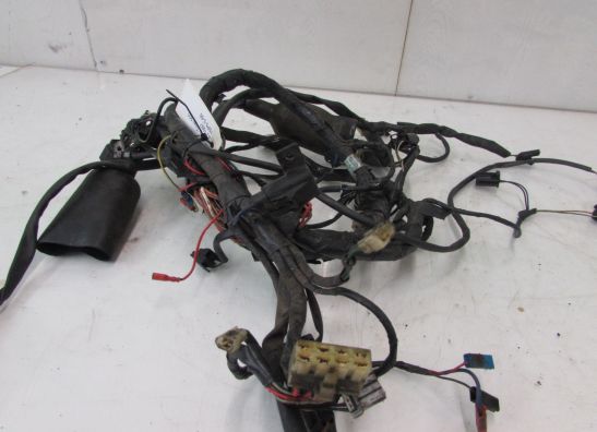 Wire Harness Triumph Tiger 900