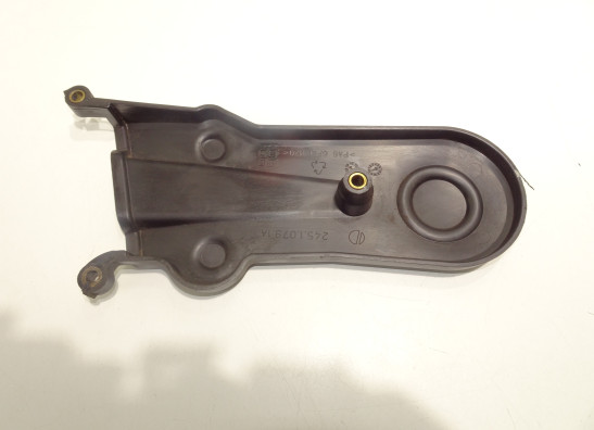 Motorblokdeksel Ducati monster 696