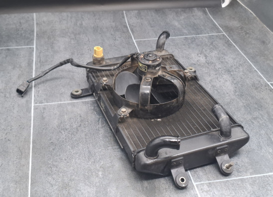 Radiator Suzuki Burgman 400