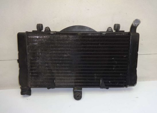 Kuhler Honda CBR 1000 F