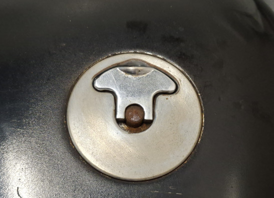 Tank Harley Davidson Overige Harley Davidson