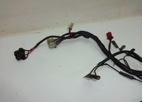 Wire Harness Kawasaki GPZ 500