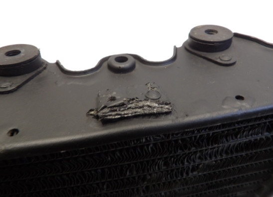 Kuhler Honda TRANSALP