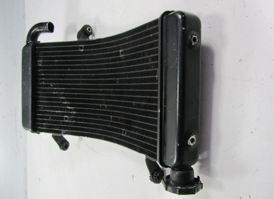 Kuhler Ducati Monster S4