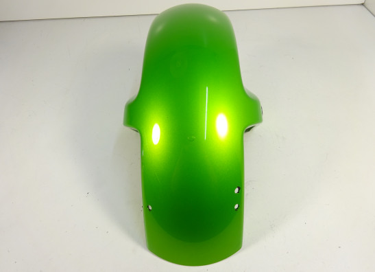 Voorspatbord Kawasaki ER 6