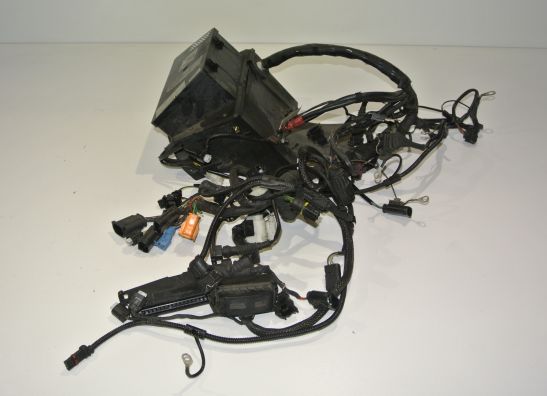 Kabelbaum BMW R 1150 R rockster 2003-2006