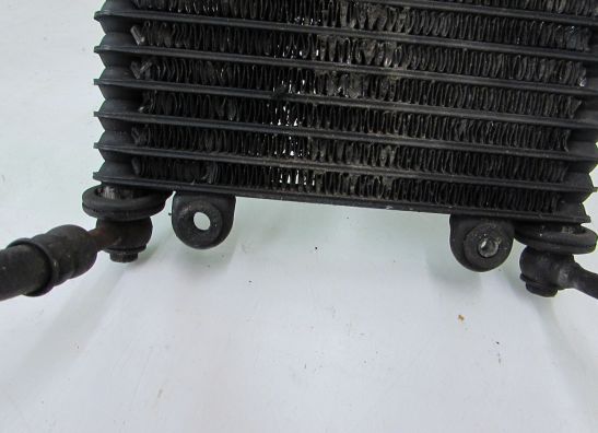 Olkuhler Kawasaki GPX 750