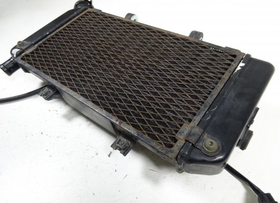 Radiateur Yamaha TDM