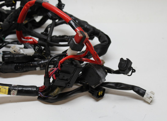 Wire Harness Yamaha XSR 900