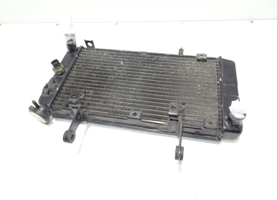 Radiator Suzuki DL 1000 V STROM