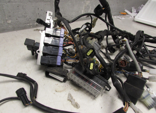 Kabelboom KTM 990 SM + SMT