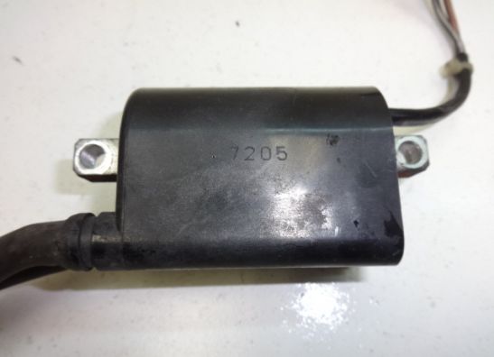 Ignition Coil Suzuki DL 650 V STROM