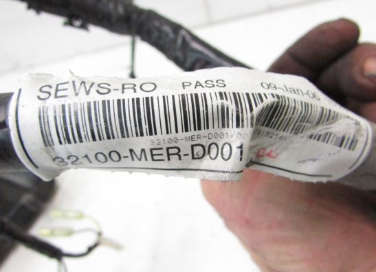 Wire Harness Honda CBF 600