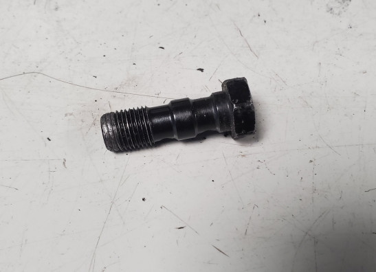 Remklauwen Aprilia Tuono V4