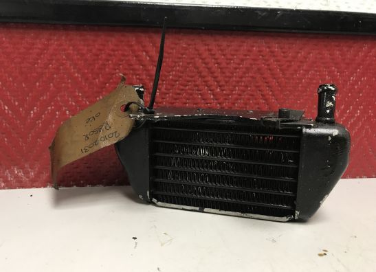 Oliekoeler BMW R 1100  850 R