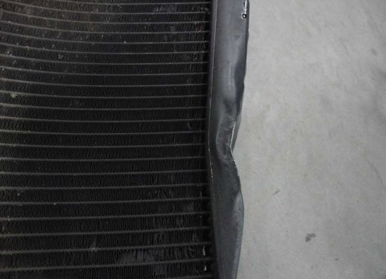 Kuhler Yamaha YZF R1