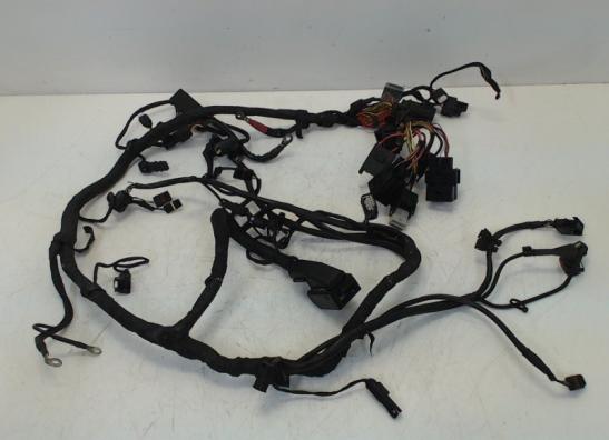 Kabelboom BMW S 1000 RR 2009-2011