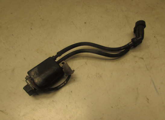 Bobine Yamaha FJ 1200