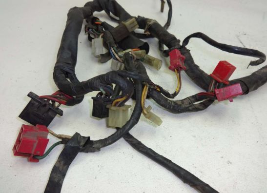 Kabelboom Honda CBX 750 F