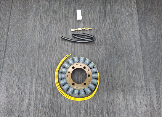 Dynamo Kawasaki ZZR 600