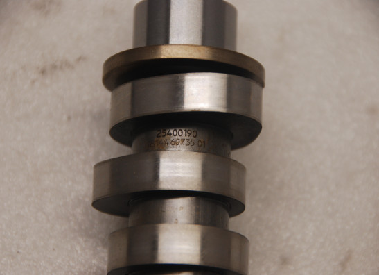 Nokkenas Harley Davidson Softtail