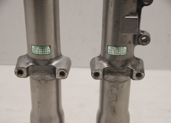 Voorpoot buiten Harley Davidson Softtail