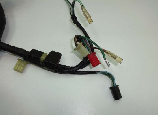 Wire Harness Honda Goldwing GL