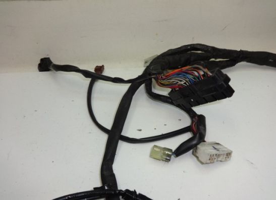 Kabelbaum Yamaha FJR 1300